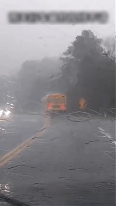 (30% DI SCONTO) Rivestimento Nanoceramico Auto – Protezione Idr repellente e Antigraffio