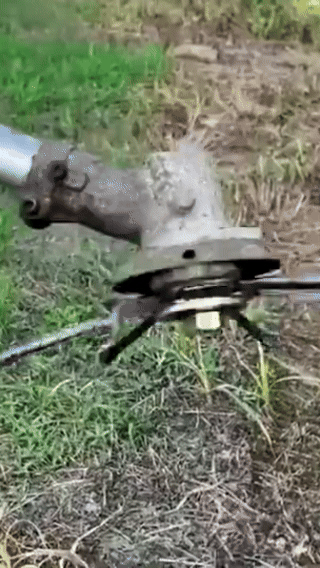 (30% di sconto) La testina del tagliaerba ha 6 bordi in acciaio inossidabile.